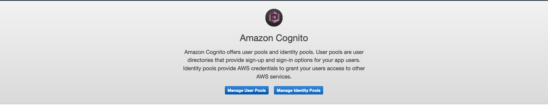 AWS Made Easy | AWS Cognito Choose 