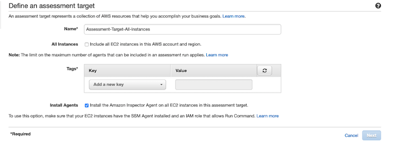 AWS Made Easy | AWS Inspector assessment tag option.