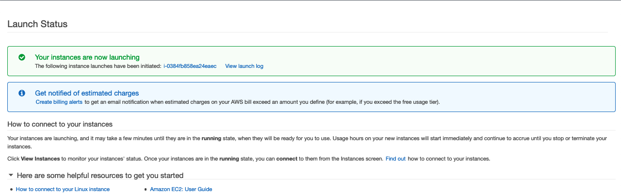 AWS Made Easy | AWS EC2 | Launch Status 